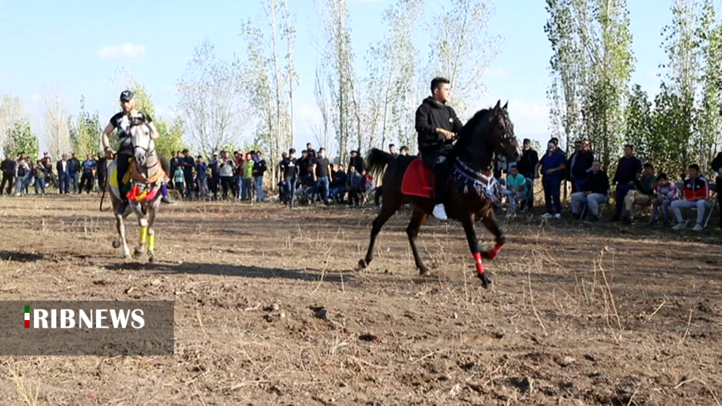 هشتمین جشنواره سوارکاری در اردبیل