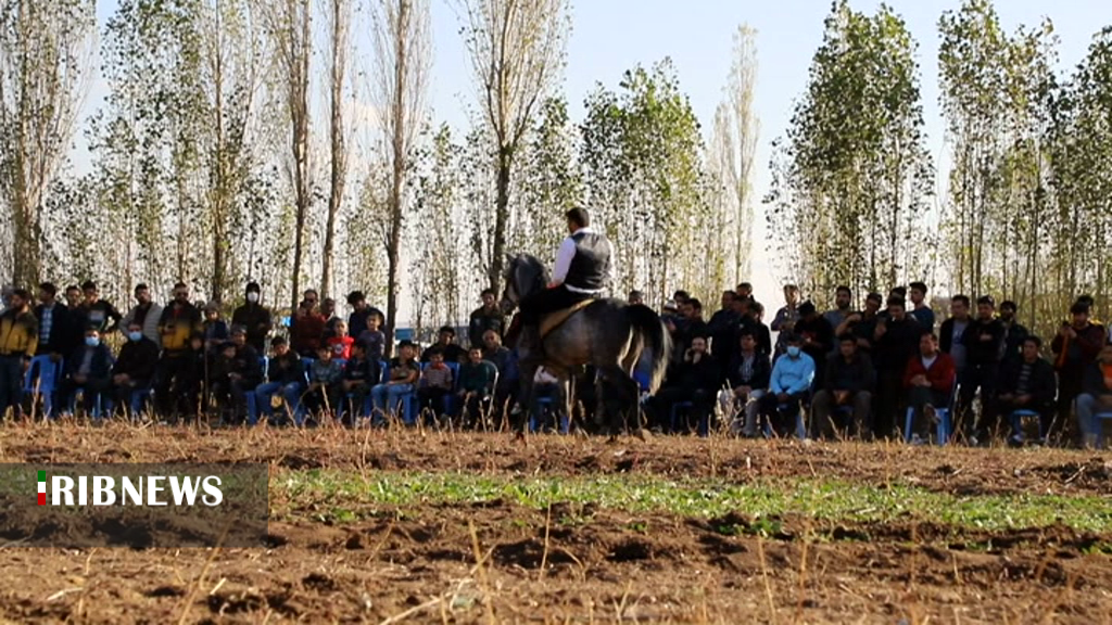 هشتمین جشنواره سوارکاری در اردبیل