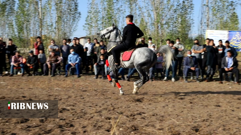 هشتمین جشنواره سوارکاری در اردبیل