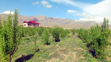 ویلاسازی تهدیدی جدی برای امنیت غذایی کشور ویلاسازی تهدیدی جدی برای امنیت غذایی کشور