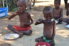 دو درصد ثروت ایلان ماسک می تواند مشکل گرسنگی جهان را حل کند