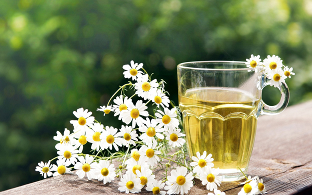 خواص گیاه دارویی بابونه