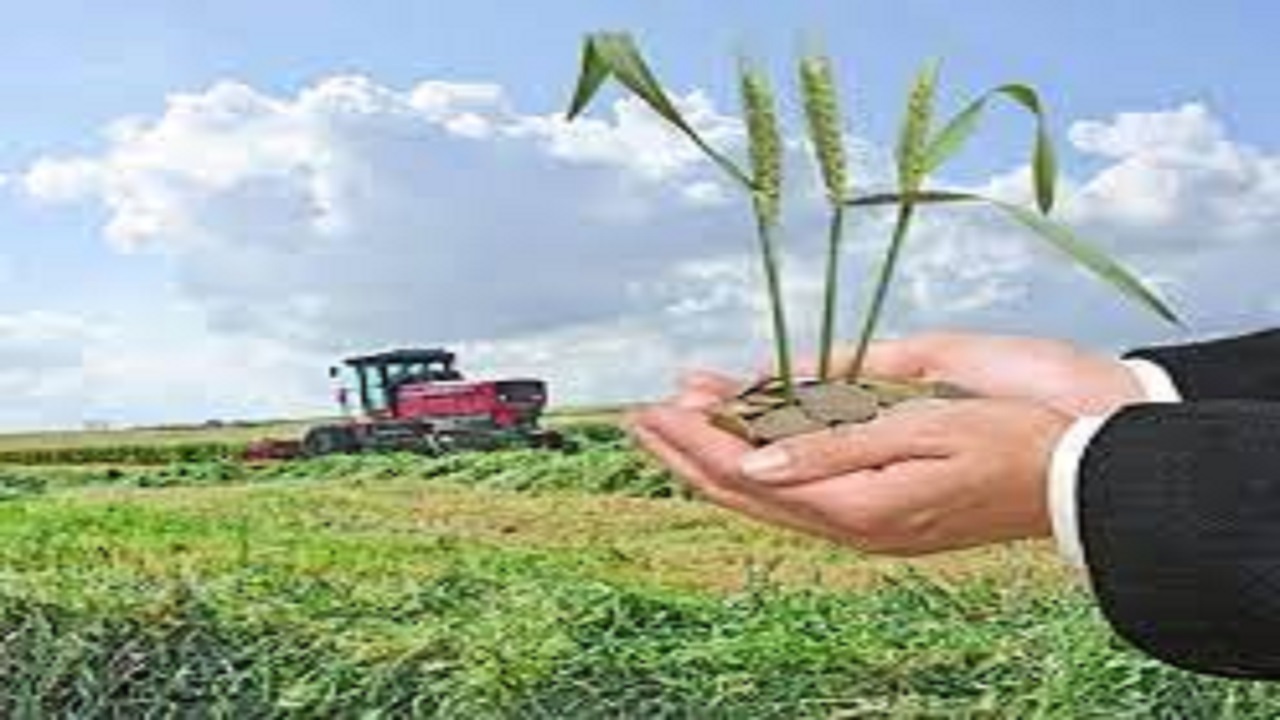 تخفیف حق بیمه مشمولان کشاورزی قراردادی در استان قزوین