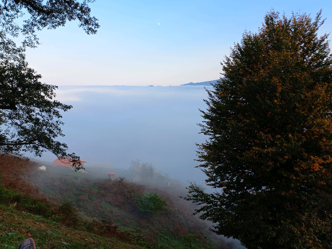 بارندگی پراکنده نوازشگر آسمان ابری گیلان