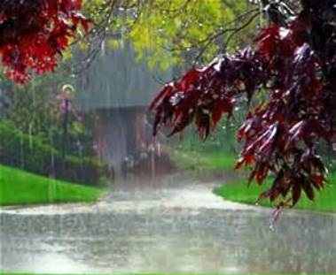 میزان بارش باران در کهگیلویه و بویراحمد