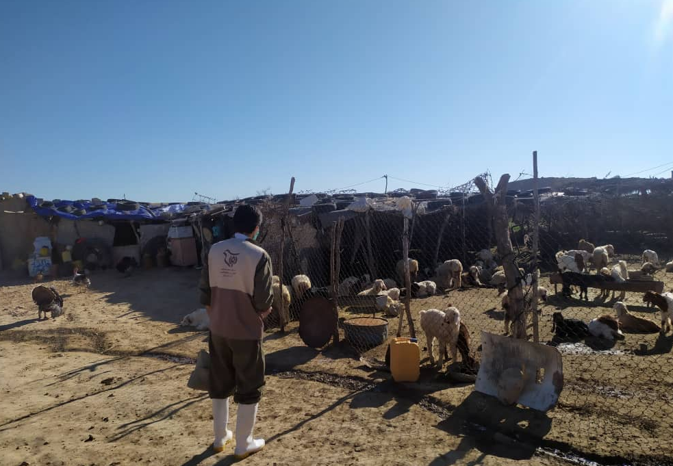 رزمایش جهش تولید در عرصه کشاورزی و دامپروری