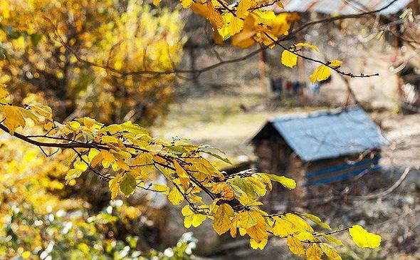 آسمان گیلان ابری / کوهستان‌های شرقی بارش پراکنده