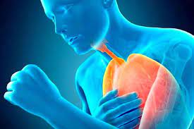 ریه هایت را جلا بده...