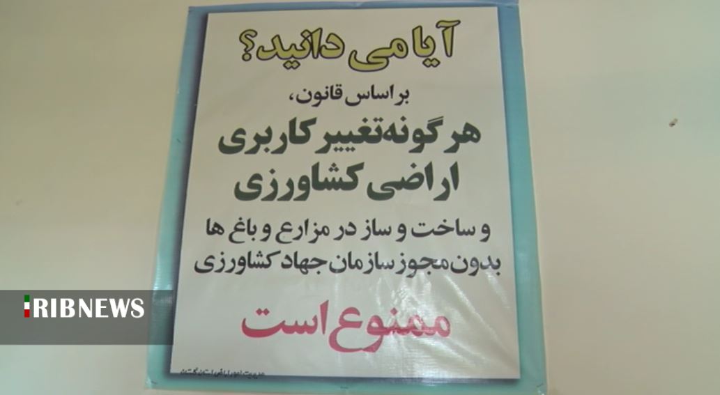 آفتی که اقتصاد کشاورزی را نشانه گرفته آفتی که اقتصاد کشاورزی را نشانه گرفته
