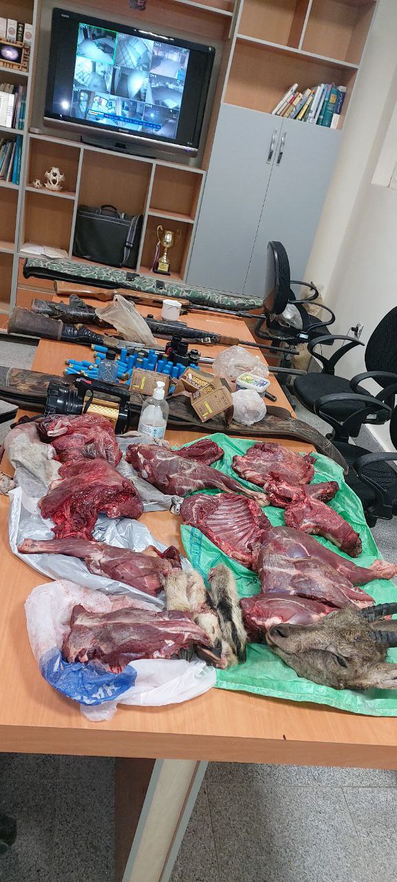 دستگیری شکارچیان کل و بز وحشی در منطقه هزار مسجد درگز