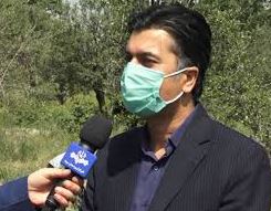 تولید۱۰ هزار تن نارنگی از باغات تولید۱۰ هزار تن نارنگی از باغات