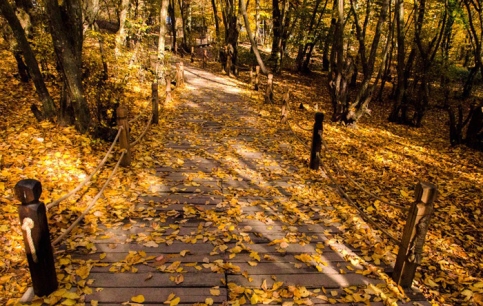 هوای لطیف و مطبوع پاییزی تا پایان هفته در گیلان