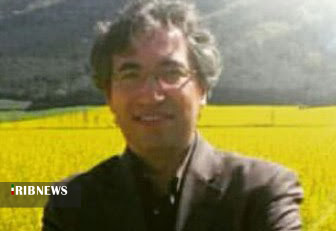 توصیه کارشناسان برای جلوگیری از خسارت آفات به کلزا