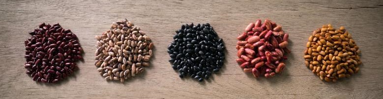 نقش تغذیه در تقویت دستگاه ایمنی بدن