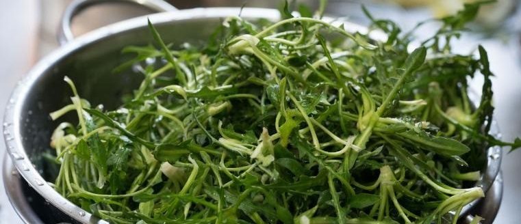 نقش تغذیه در تقویت دستگاه ایمنی بدن