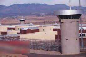 کشته شدن یک زندانی دیگر در زندانهای فدرال آمریکا کشته شدن یک زندانی دیگر در زندانهای فدرال آمریکا