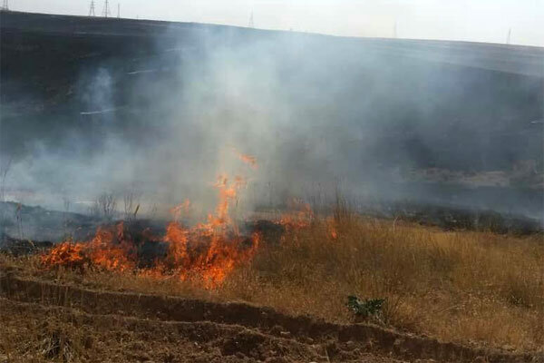 هشدار در مورد احتمال آتش سوزی جنگل و مراتع