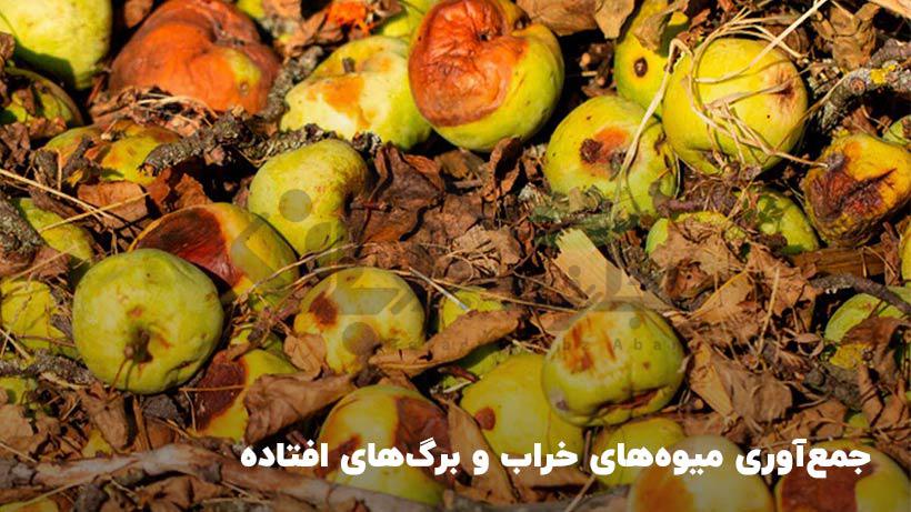 مدیریت تلفیقی آفات از اولویتهای حفظ نباتات مدیریت تلفیقی آفات از اولویتهای حفظ نباتات