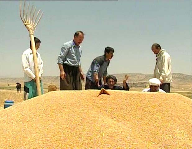 میلیارد و ۷۱۴ میلیون تومان زکوات در خراسان جنوبی جمع آوری شد