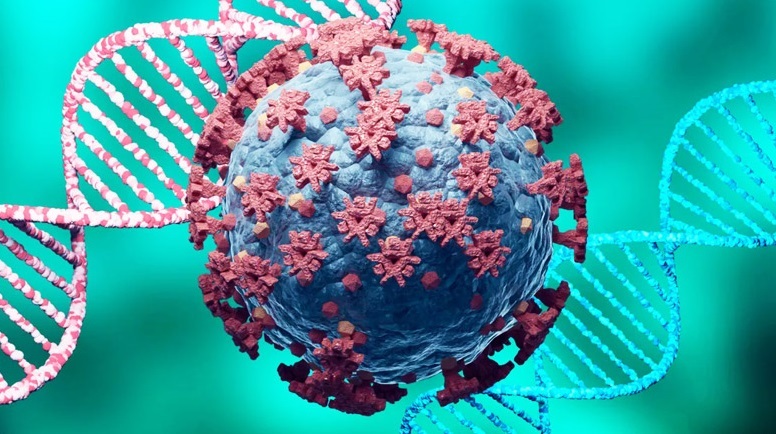 تاکنون موردی از امیکرون در یزد مشاهده نشده تاکنون موردی از امیکرون در یزد مشاهده نشده