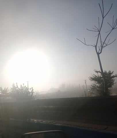 پایان هفته بارانی گیلانیان/ پدیده مه در جلگه