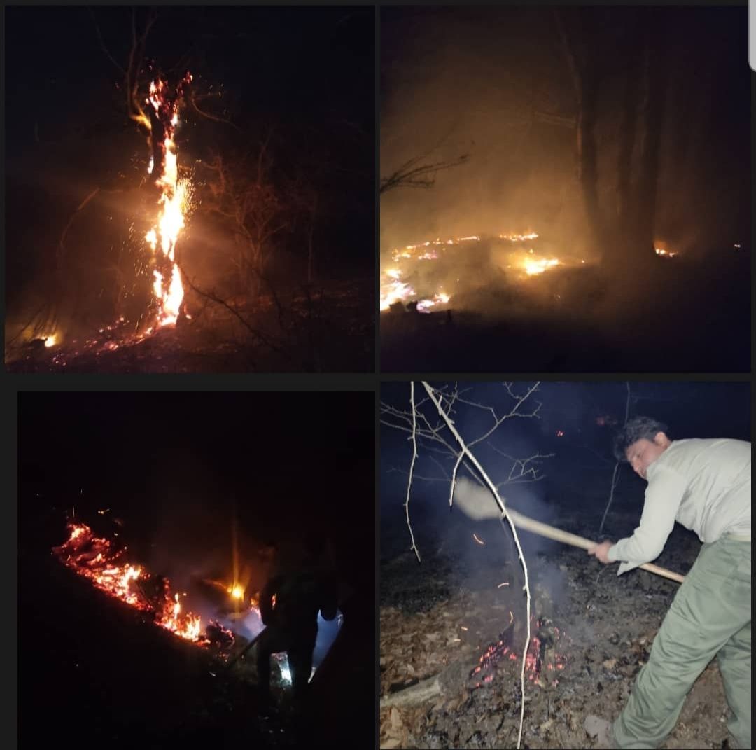 مهار آتش سوزی در منطقه جنگلی پارتکلا شهرستان ساری