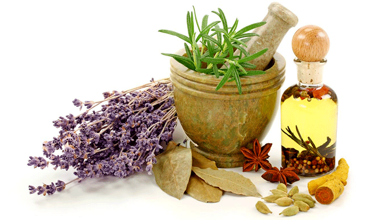 معرفی گیاهان دارویی آرام بخش و خواب آور معرفی گیاهان دارویی آرام بخش و خواب آور