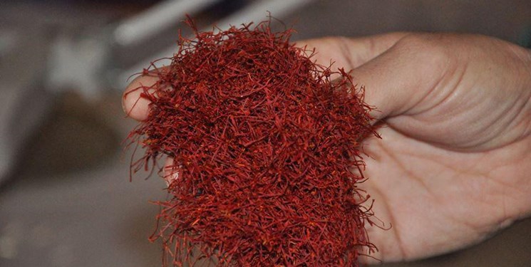 کشاورزان بازنده بازی مافیای زعفران/ ماجرای ۴۶ تن زعفران چیست؟