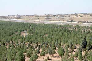 کمربند سبز اهواز ، چالش کمبود اعتبارات و مشکلات مدیریتی و نظارتی کمربند سبز اهواز ، چالش کمبود اعتبارات و مشکلات مدیریتی و نظارتی