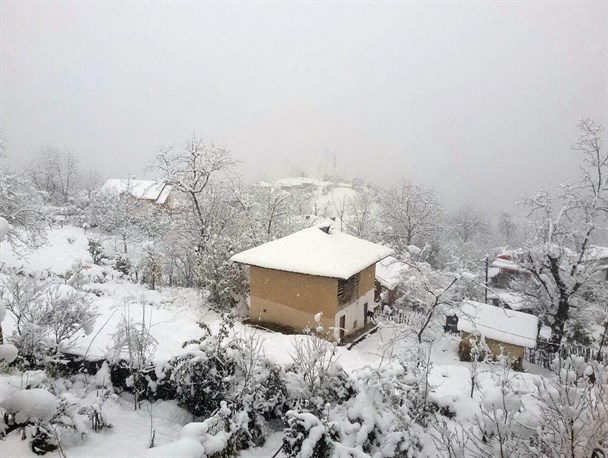 بارش باران و لطافت هوای پاییزی در گیلان