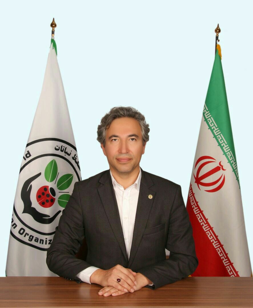 توصیه های باغداری پاییزه