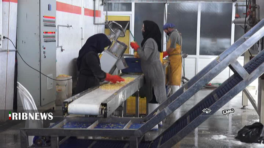 اشتغالزایی برای ۲ هزار مددجوی کمیته امداد امام خمینی (ره)