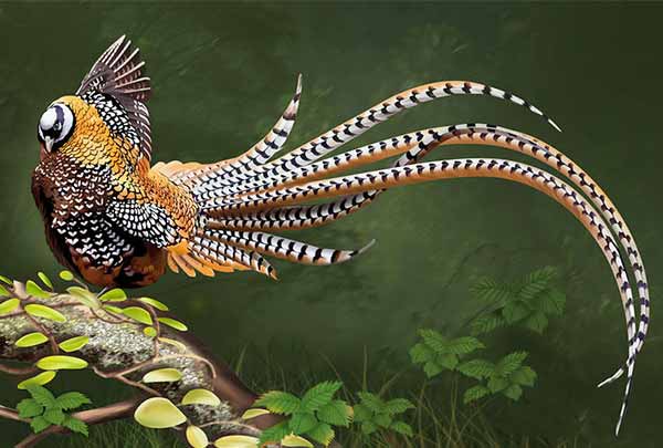 سرشماری پاییزه قرقاول در نوار مرزی شمال استان اردبیل سرشماری پاییزه قرقاول در نوار مرزی شمال استان اردبیل