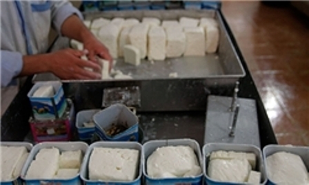 معدوم سازی مواد لبنی غیر مجاز در کرمانشاه معدوم سازی مواد لبنی غیر مجاز در کرمانشاه