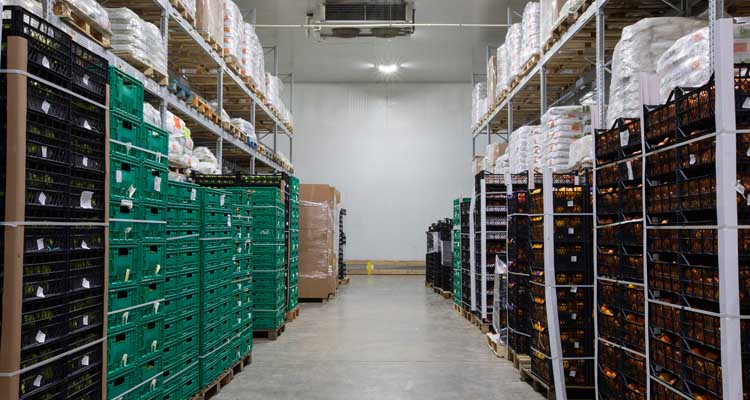 خرمای مضافتی بم پر مشتری در خارج از کشور