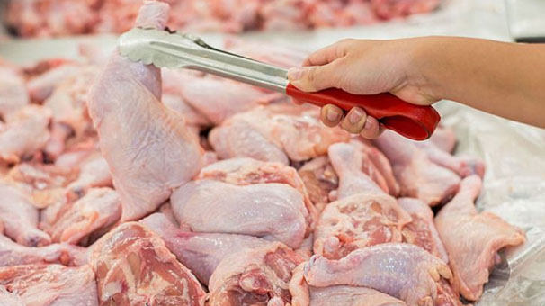 توزیع مرغ گرم در بازار مصرف خراسان جنوبی