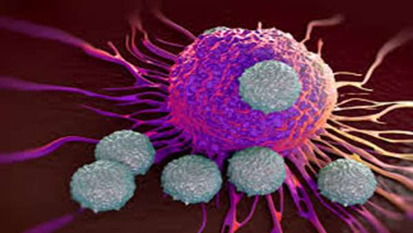 صدور تائیدیه سازمان بهداشت جهانی برای ترکیب دارویی جدید LAG-3