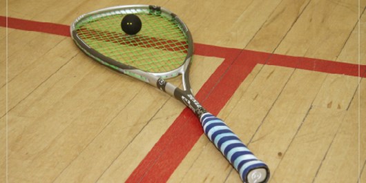 تیم های ملی اسکواش، کشتی آلیش و تکواندوی ناشنوایان با ورزشکاران استان تیم های ملی اسکواش، کشتی آلیش و تکواندوی ناشنوایان با ورزشکاران استان