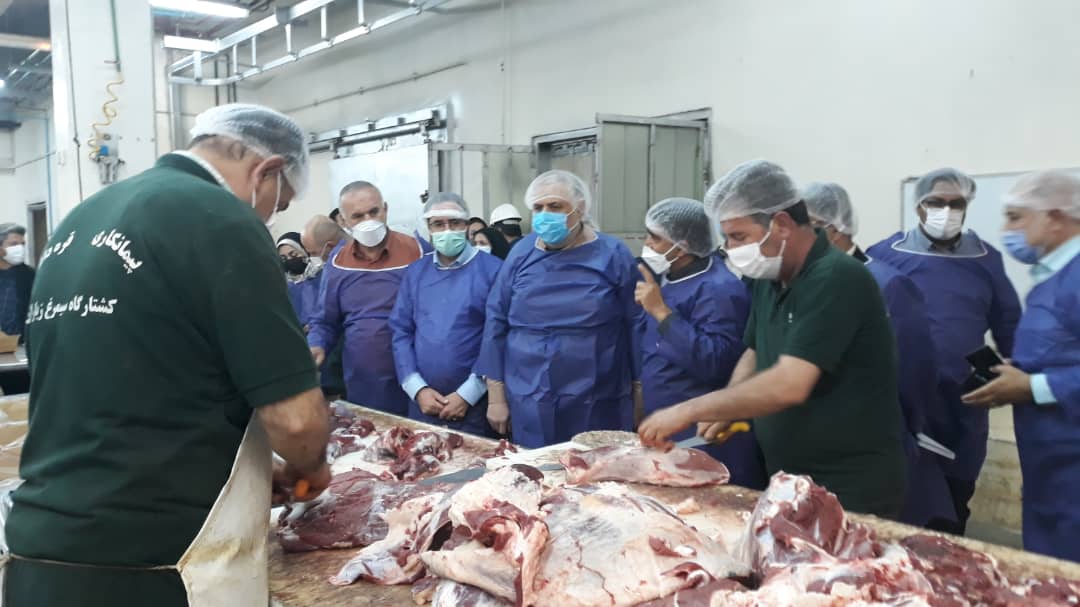 بازدید استاندار قزوین از طرح‌های کشاورزی و صنایع وابسته