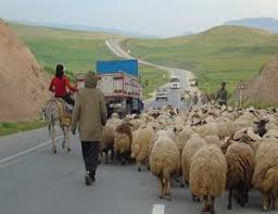 عشایر خراسان شمالی برای کوچ بهاره عجله نکنند عشایر خراسان شمالی برای کوچ بهاره عجله نکنند