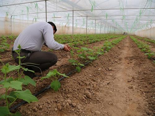 ایجاد بیش از ۶۵۰۰ فرصت شغلی برای نیازمنداان