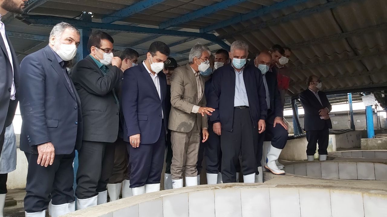 بررسی طرح‌های عمرانی شهرستان تالش