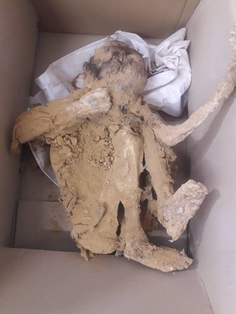 جانمایی اجساد تاریخی کشف‌شده اردستان، در موزه تاریخ و تمدن زواره