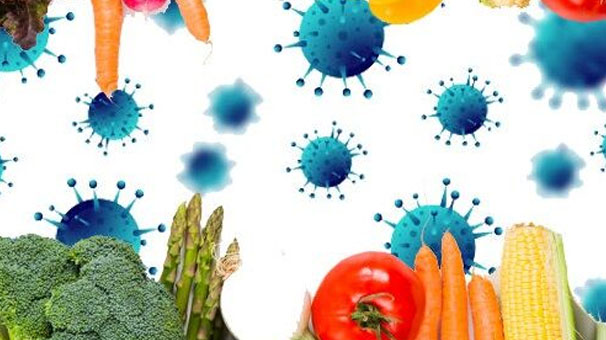 مراقبتهای تغذیهای برای افزایش مقاومت بدن در برابر کرونا مراقبتهای تغذیهای برای افزایش مقاومت بدن در برابر کرونا