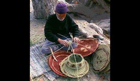 سوغاتی از کجا چی بخریم؟