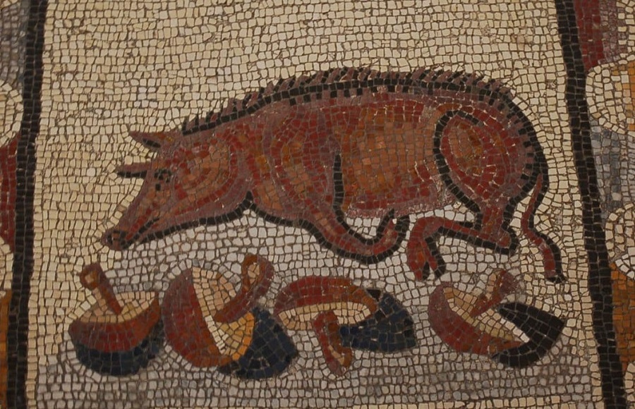 تهوع‌آورترین غذا‌های باستانی؛ از موش شکم پر تا خون ماهی