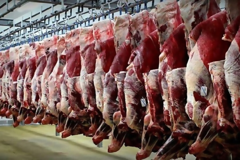 نرخنامه جدید گوشت قرمز در میادین میوه و تره بار گوشت قرمز