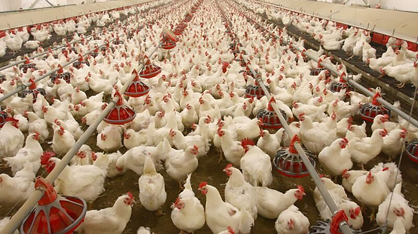 اختصاص ۲۸۶ میلیارد تومان برای توسعه آرین اختصاص ۲۸۶ میلیارد تومان برای توسعه آرین