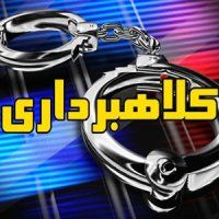 گل زینتی برای خریدار گران تمام شد