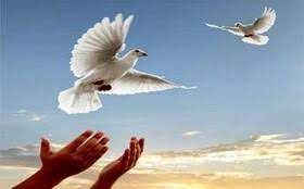 آزادی ۳۰۴ زندانی در استان مازندران